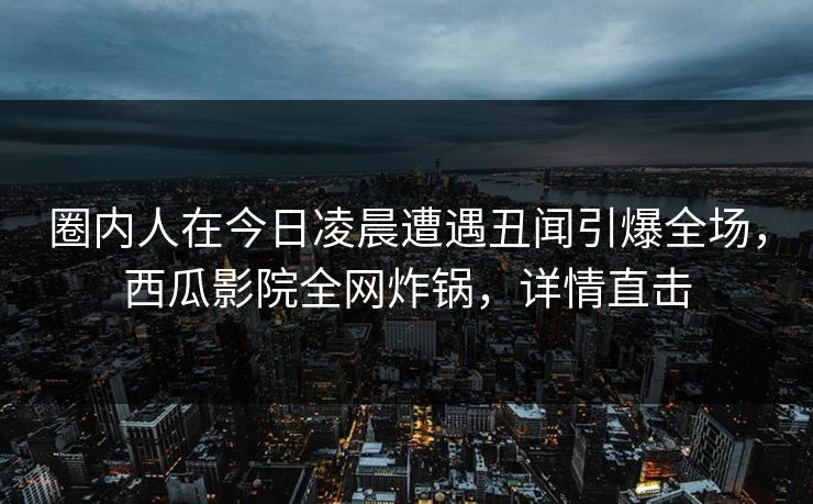 圈内人在今日凌晨遭遇丑闻引爆全场，西瓜影院全网炸锅，详情直击